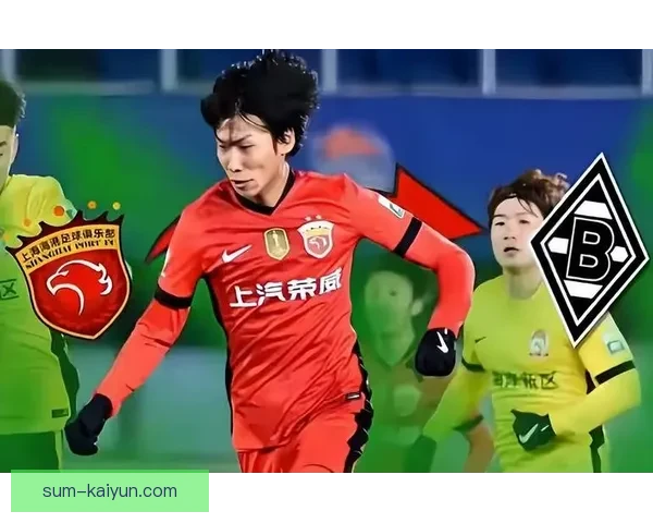 中国队转会欧洲趋势显著，众多球员展现出新的发展方向